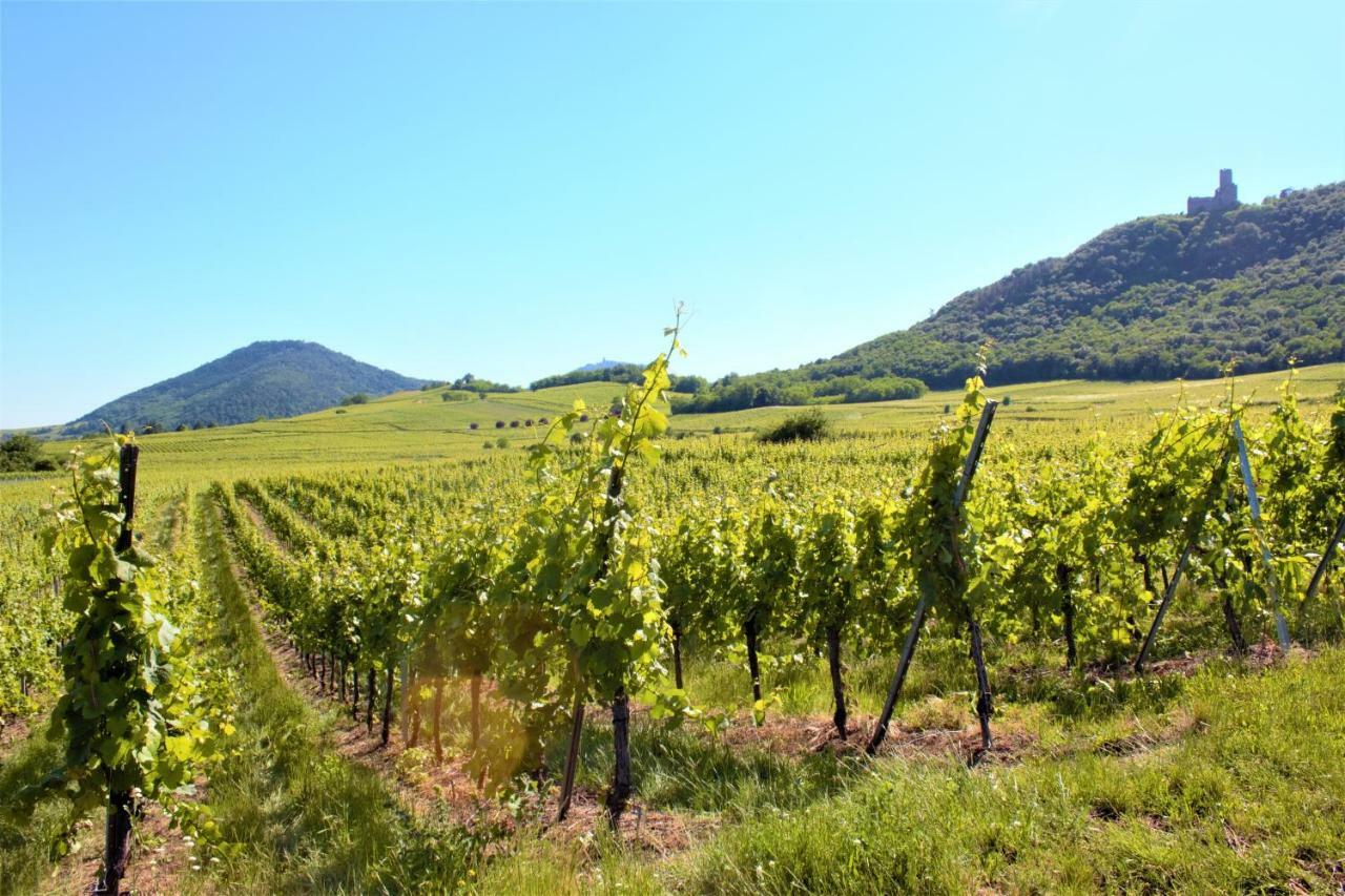 Апартаменты La Halte Des Vignes - Route Des Vins D'Alsace Scherwiller Экстерьер фото