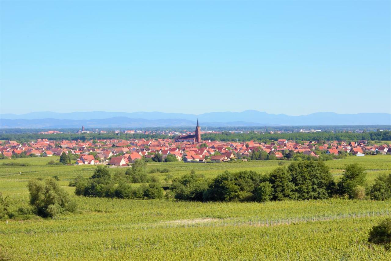 Апартаменты La Halte Des Vignes - Route Des Vins D'Alsace Scherwiller Экстерьер фото